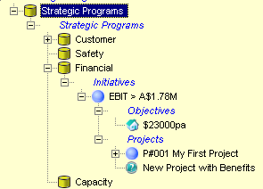 Benefit Realisation Strategic Programs